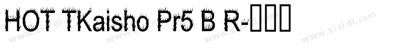 HOT TKaisho Pr5 B R字体转换